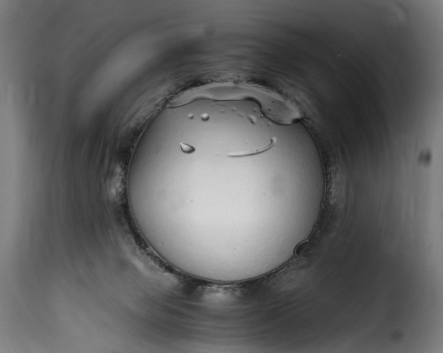 X0000115640077200911241721