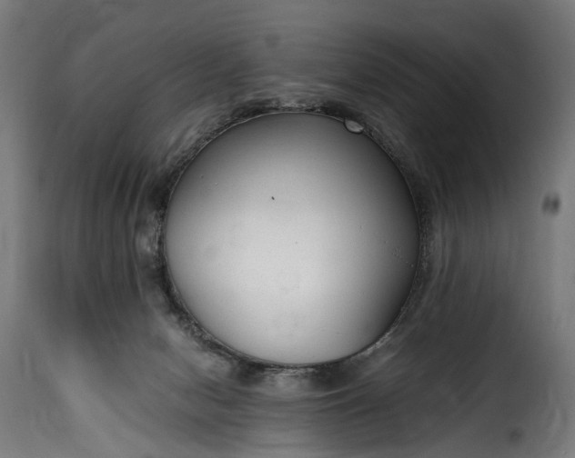 X0000115640078200911241721