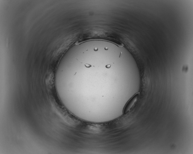 X0000115640079200911241721