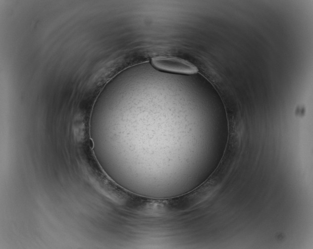 X0000115640080200911241721