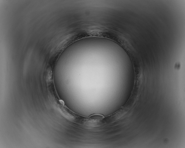 X0000115640081200911241721