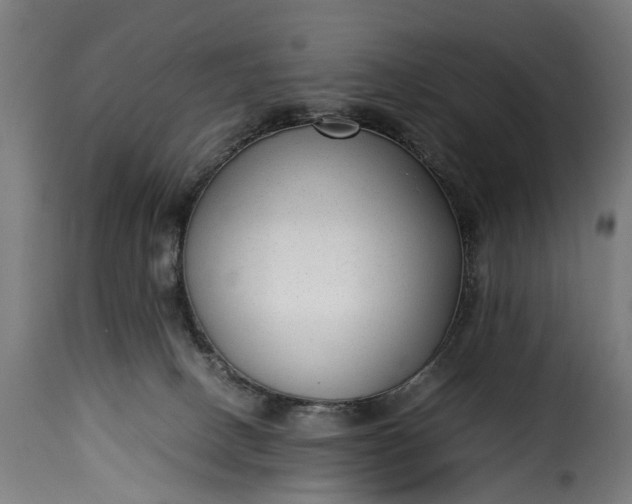 X0000115640082200911241721