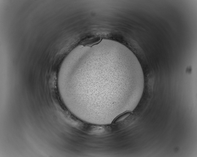 X0000115640083200911241721