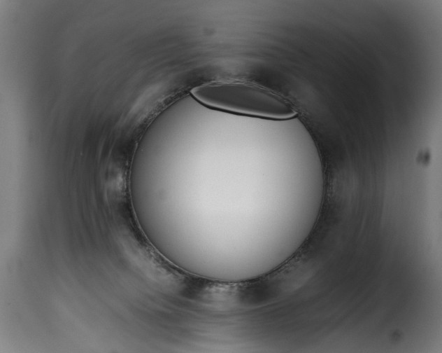 X0000115640084200911241721