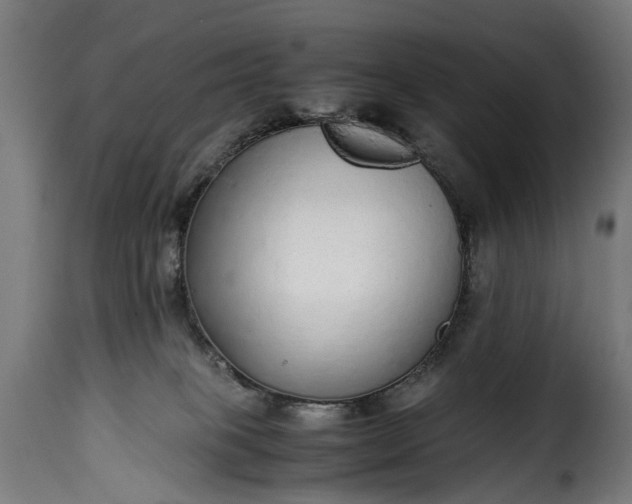 X0000115640085200911241721