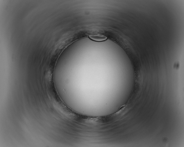 X0000115640086200911241721