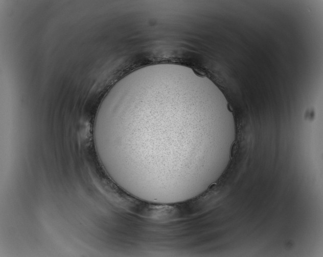 X0000115640087200911241721