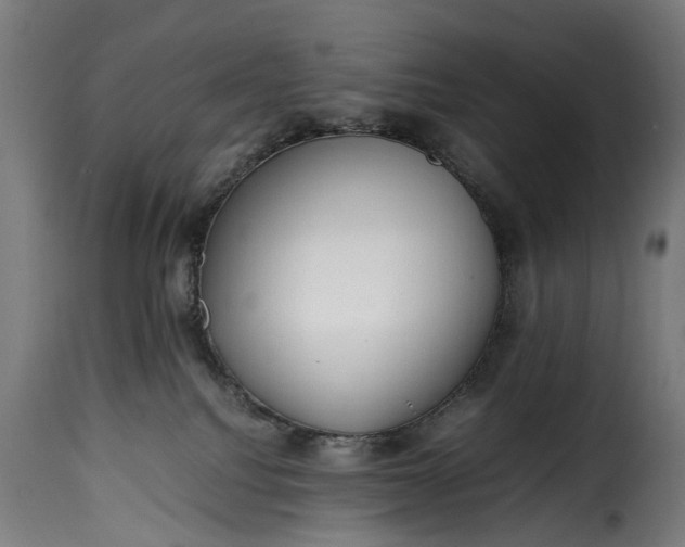 X0000115640088200911241721