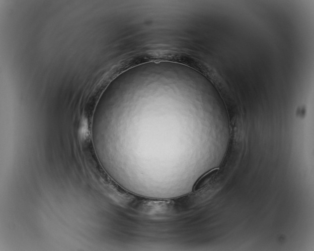 X0000115640089200911241721