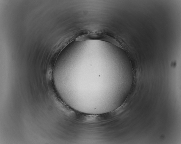 X0000115640090200911241721