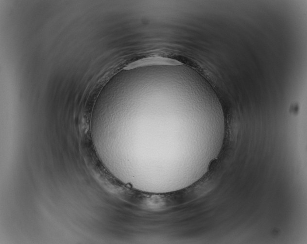 X0000115640091200911241721