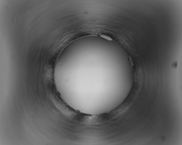 X0000115640092200911241721