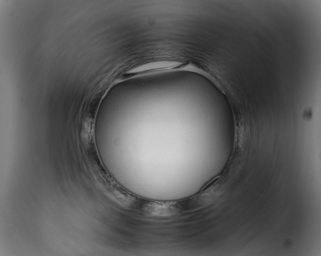 X0000115640093200911241721