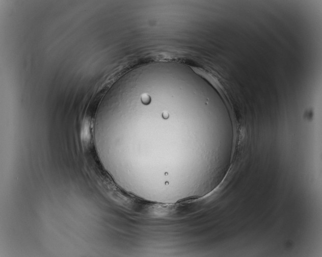 X0000115640094200911241721