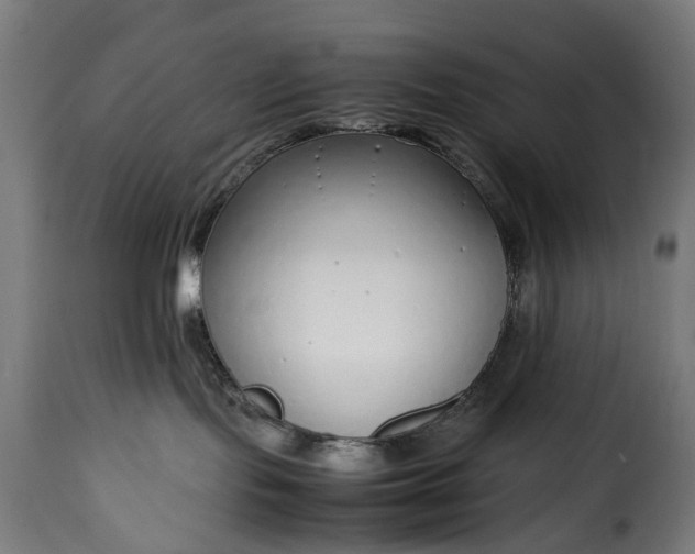 X0000115640095200911241721