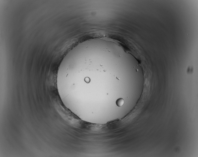 X0000115640096200911241721