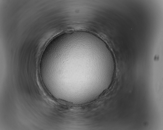 X0000115640097200911241721