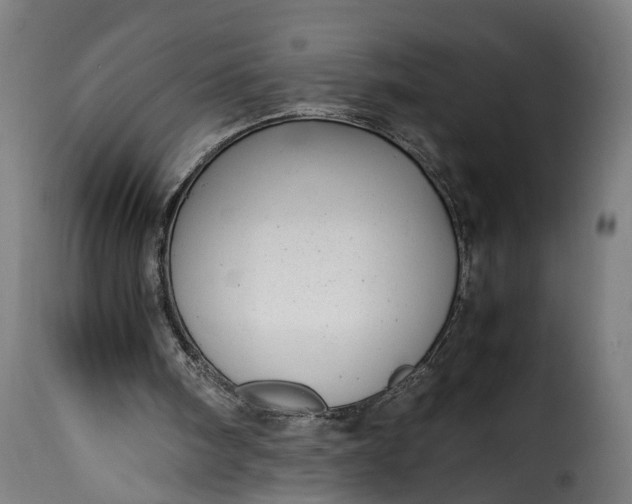 X0000115640098200911241721