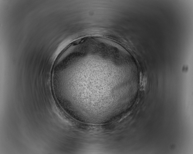 X0000115640099200911241721