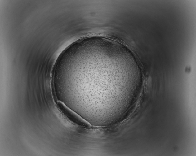 X0000115640100200911241721