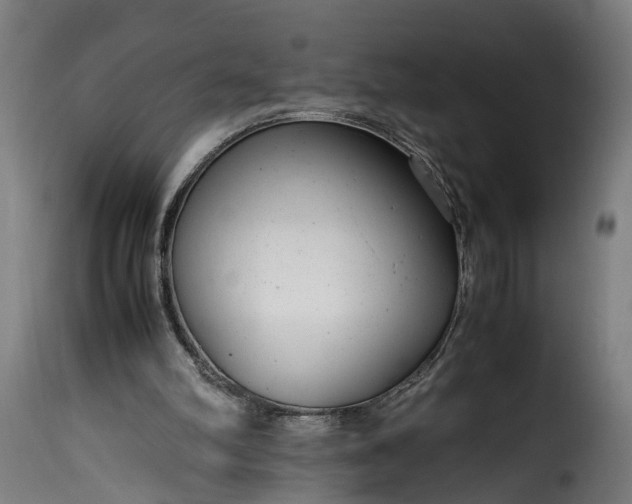 X0000115640102200911241721