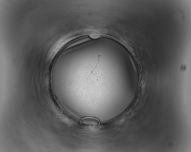 X0000115640103200911241721