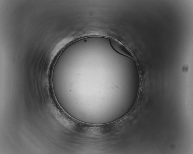 X0000115640104200911241721