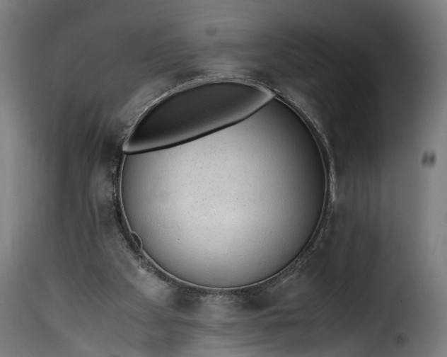 X0000115640105200911241720