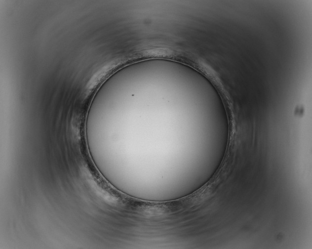 X0000115640106200911241720