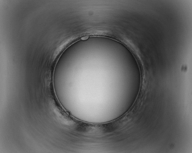 X0000115640107200911241720