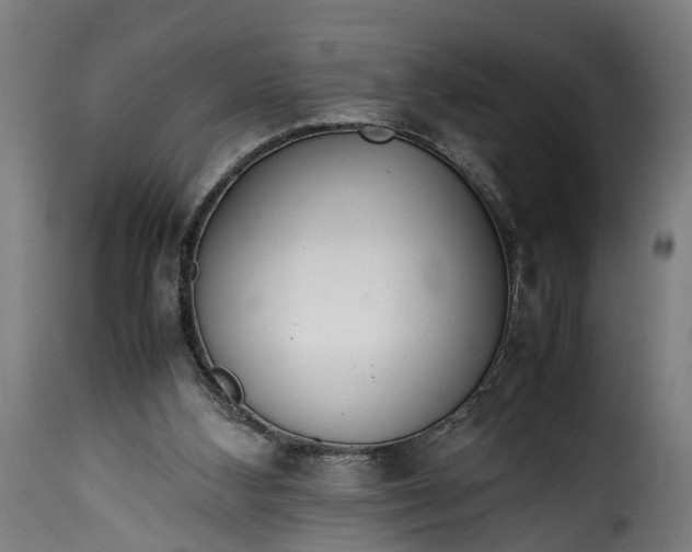 X0000115640108200911241720