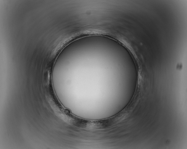 X0000115640109200911241720