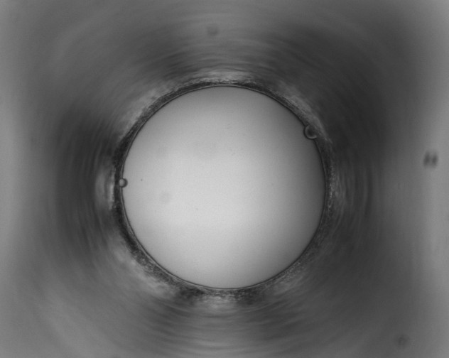 X0000115640110200911241720