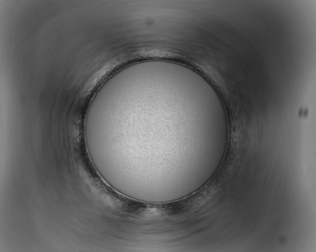 X0000115640111200911241720