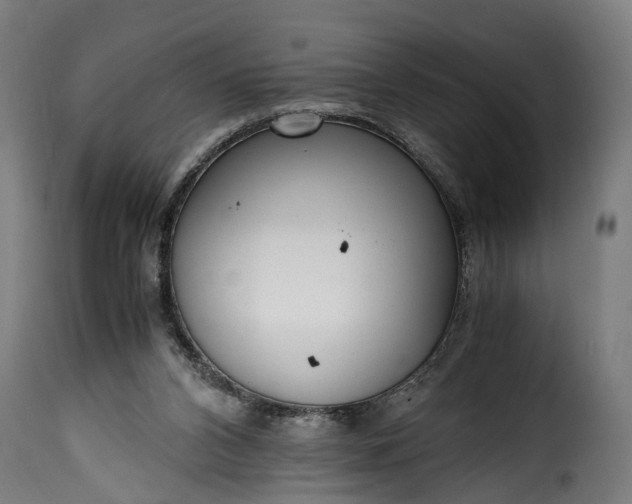 X0000115640112200911241720