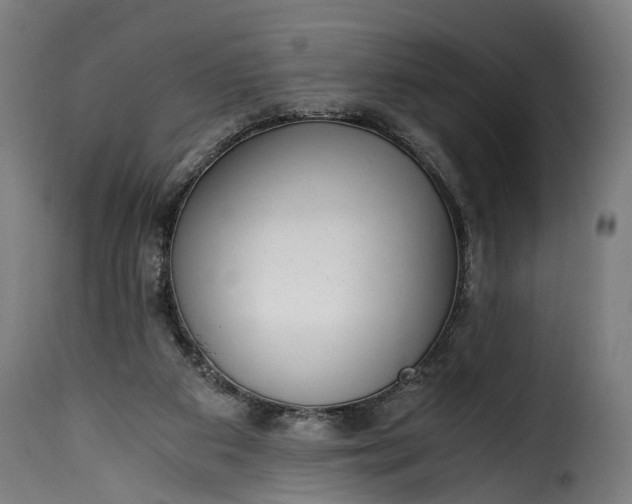 X0000115640113200911241720