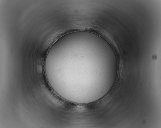 X0000115640114200911241720