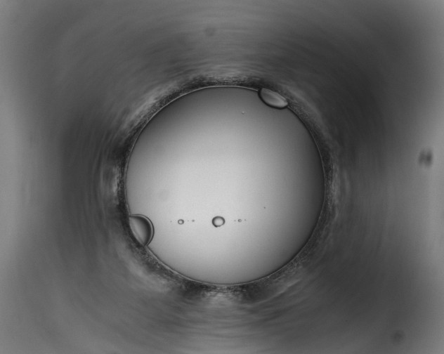 X0000115640115200911241720