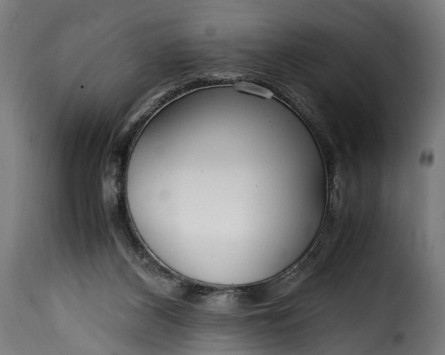 X0000115640116200911241720