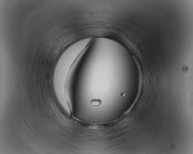 X0000115640117200911241720