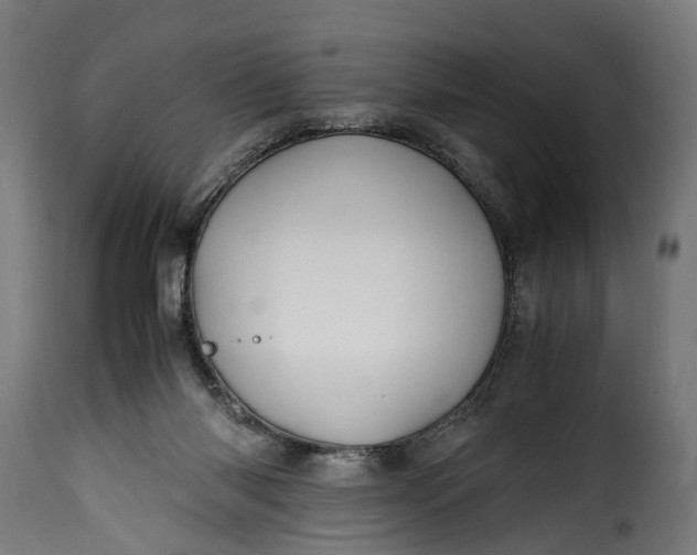 X0000115640118200911241720