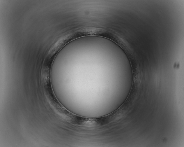 X0000115640119200911241720