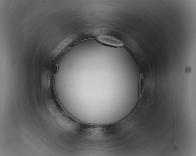 X0000115640120200911241720