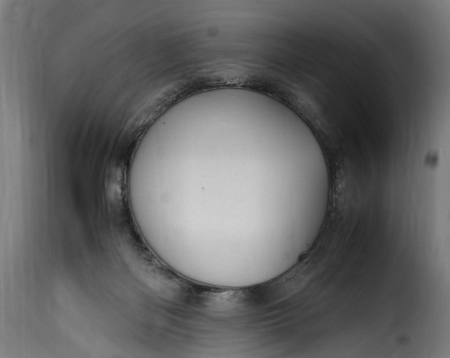 X0000115640122200911241720