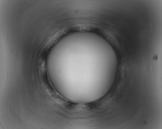 X0000115640123200911241720