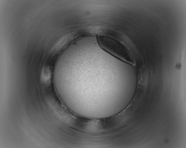 X0000115640124200911241720