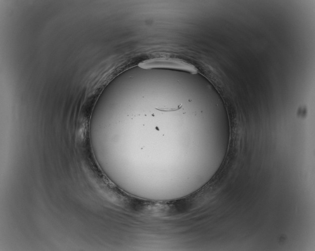 X0000115640125200911241720