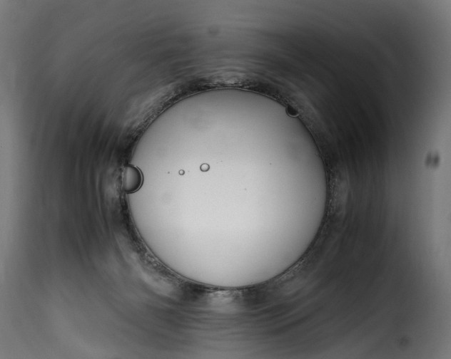 X0000115640126200911241720