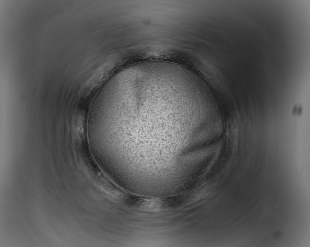 X0000115640127200911241720