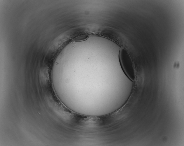 X0000115640128200911241720